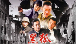 黑狐电视剧,谍影重重，暗战风云